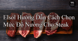 Elsol Hướng Dẫn Cách Chọn Mức Độ Nướng Cho Steak